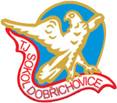 Sokol logo